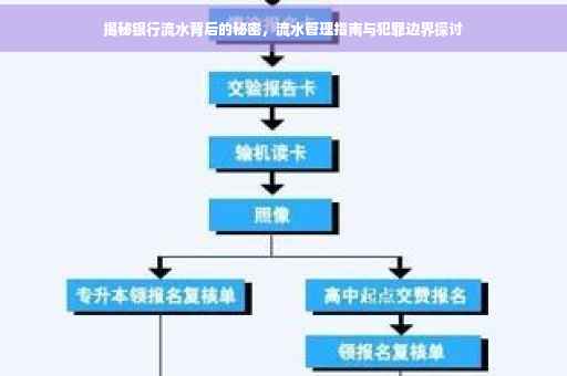 揭秘银行流水背后的秘密，流水管理指南与犯罪边界探讨