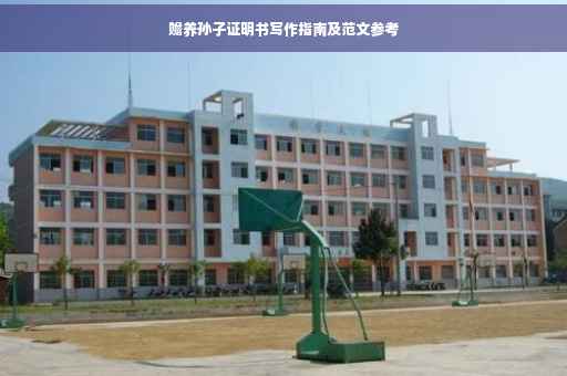 赡养孙子证明书写作指南及范文参考