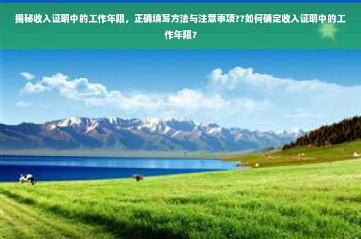揭秘收入证明中的工作年限，正确填写方法与注意事项??如何确定收入证明中的工作年限？