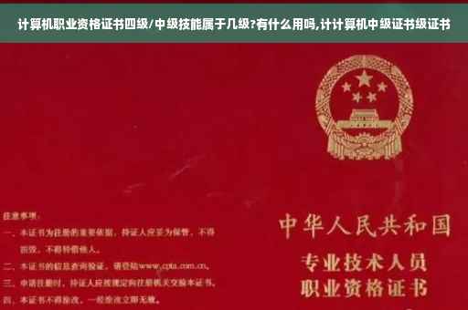 计算机职业资格证书四级/中级技能属于几级?有什么用吗,计计算机中级证书级证书