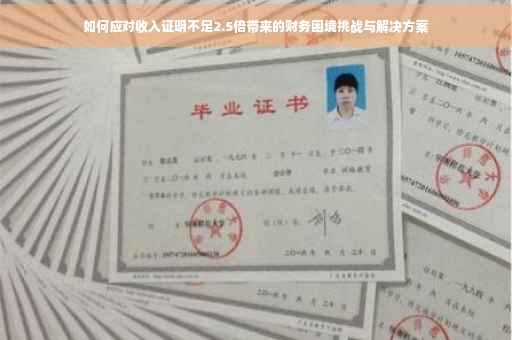 如何应对收入证明不足2.5倍带来的财务困境挑战与解决方案