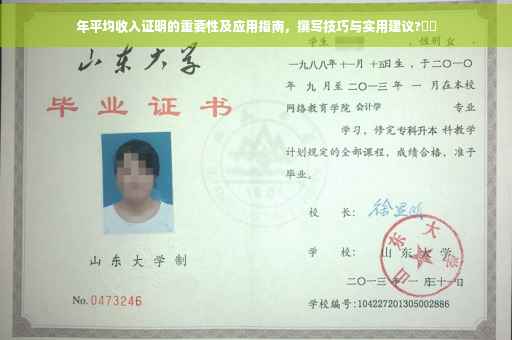 年平均收入证明的重要性及应用指南，撰写技巧与实用建议?⚡️