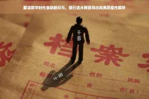 解读数字时代金融新纪元，银行流水网银导出指南及操作解析