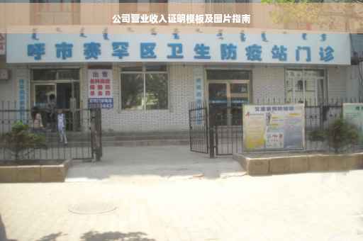 公司营业收入证明模板及图片指南