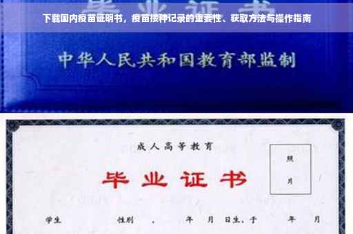 下载国内疫苗证明书，疫苗接种记录的重要性、获取方法与操作指南