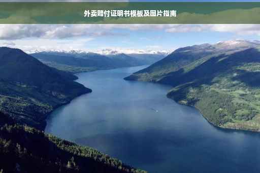 外卖赔付证明书模板及图片指南