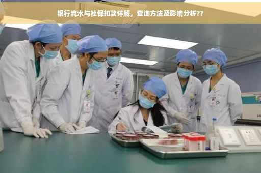 银行流水与社保扣款详解，查询方法及影响分析??