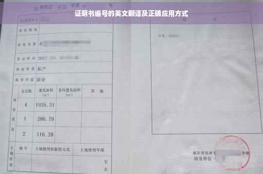 证明书编号的英文翻译及正确应用方式