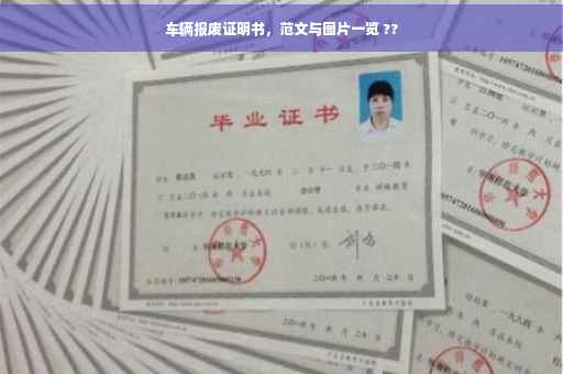 车辆报废证明书，范文与图片一览 ??