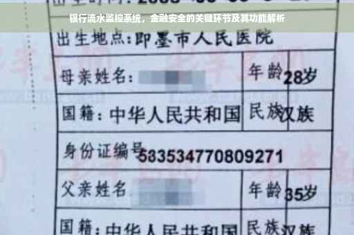 银行流水监控系统，金融安全的关键环节及其功能解析