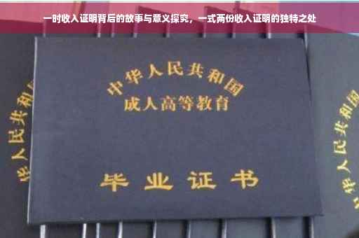 一时收入证明背后的故事与意义探究，一式两份收入证明的独特之处