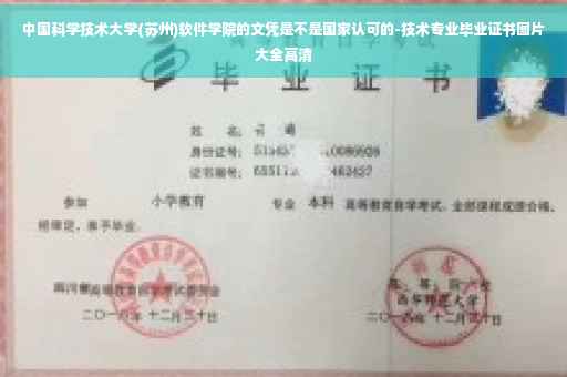 中国科学技术大学(苏州)软件学院的文凭是不是国家认可的-技术专业毕业证书图片大全高清