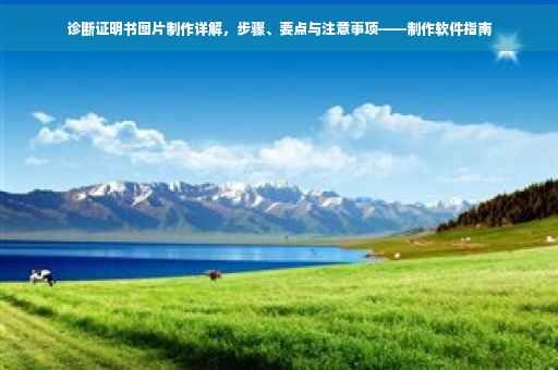 诊断证明书图片制作详解，步骤、要点与注意事项——制作软件指南