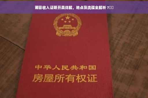 莆田收入证明开具详解，地点及流程全解析 ?⚡️