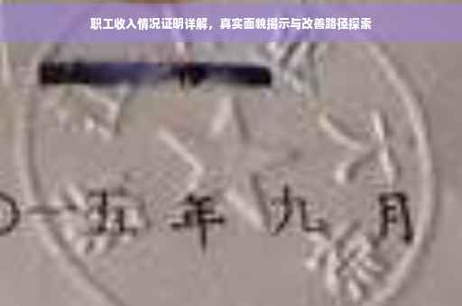 职工收入情况证明详解，真实面貌揭示与改善路径探索
