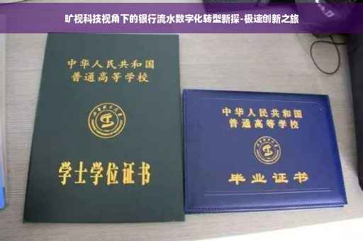 旷视科技视角下的银行流水数字化转型新探-极速创新之旅