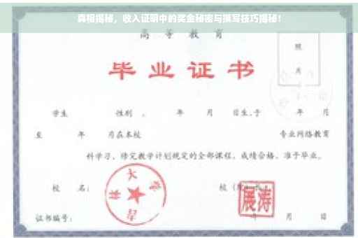 真相揭秘，收入证明中的奖金秘密与撰写技巧揭秘！
