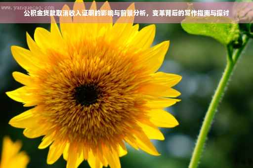 公积金贷款取消收入证明的影响与前景分析，变革背后的写作指南与探讨