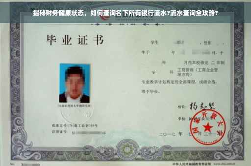 揭秘财务健康状态，如何查询名下所有银行流水?流水查询全攻略?