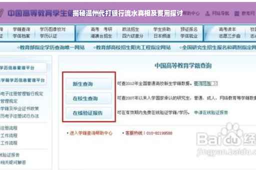 揭秘温州代打银行流水真相及费用探讨