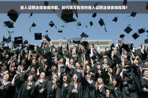 收入证明法律咨询详解，如何撰写有效的收入证明法律咨询指导？