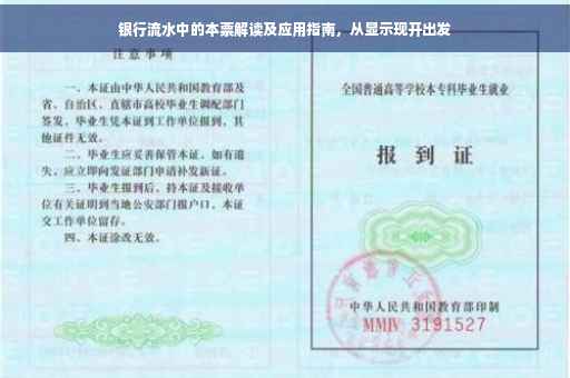 银行流水中的本票解读及应用指南，从显示现开出发