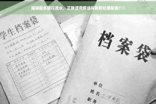 揭秘股东银行流水，正确调用解读与账务处理指南?⚡️