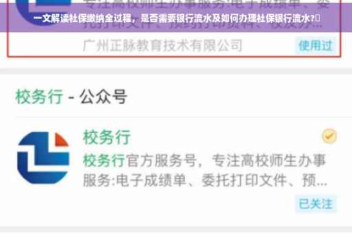 一文解读社保缴纳全过程，是否需要银行流水及如何办理社保银行流水?✨
