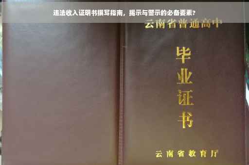 违法收入证明书撰写指南，揭示与警示的必备要素?