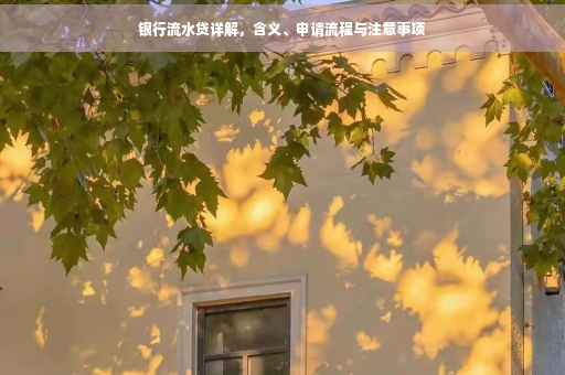 银行流水贷详解，含义、申请流程与注意事项