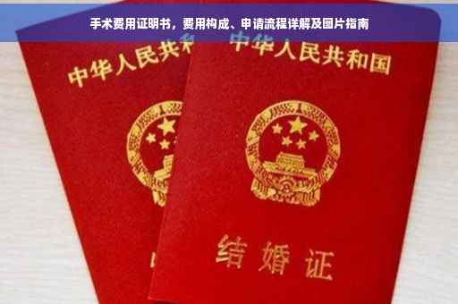 手术费用证明书，费用构成、申请流程详解及图片指南