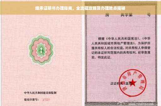 继承证明书办理指南，全流程攻略及办理地点揭秘