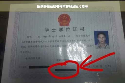 医院等级证明书样本详解及图片参考