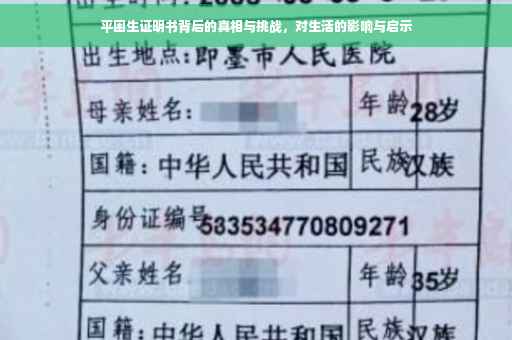 平困生证明书背后的真相与挑战，对生活的影响与启示