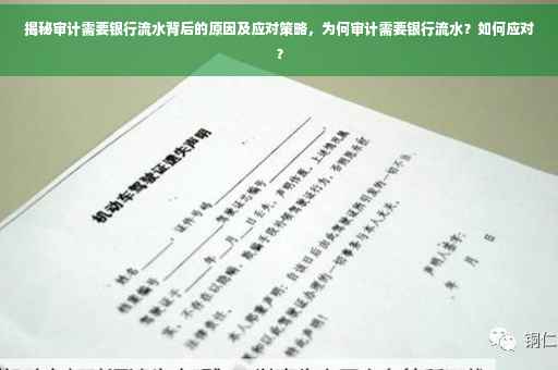 揭秘审计需要银行流水背后的原因及应对策略，为何审计需要银行流水？如何应对？