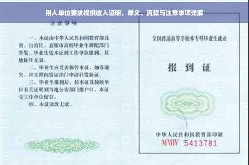 用人单位要求提供收入证明，意义、流程与注意事项详解