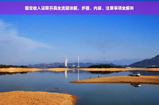 国定收入证明开具全流程详解，步骤、内容、注意事项全解析