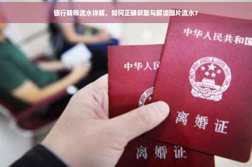 银行转账流水详解，如何正确获取与解读图片流水？