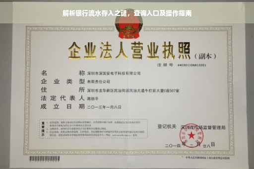 解析银行流水存入之谜，查询入口及操作指南