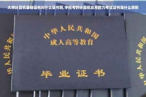 大学计算机基础证书叫什么证书啊,学校考的计算机应用能力考试证书是什么级别