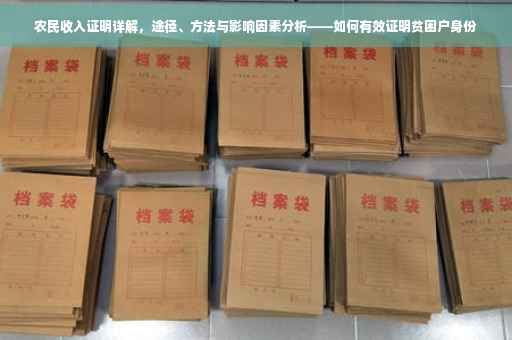 农民收入证明详解，途径、方法与影响因素分析——如何有效证明贫困户身份
