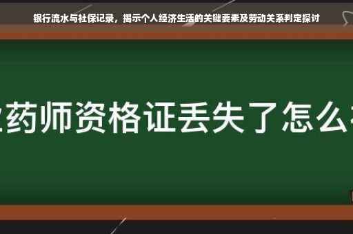 银行流水与社保记录，揭示个人经济生活的关键要素及劳动关系判定探讨