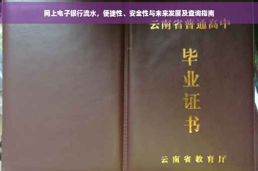 网上电子银行流水，便捷性、安全性与未来发展及查询指南