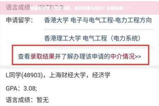 揭秘面试收入流水证明，如何准备与应对？全程指南！?