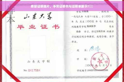 感冒证明图片，手写证明书与证明单展示?⚡️