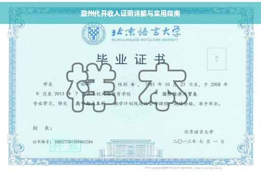 滁州代开收入证明详解与实用指南