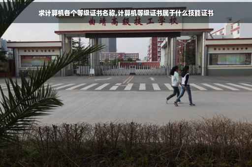 求计算机各个等级证书名称,计算机等级证书属于什么技能证书