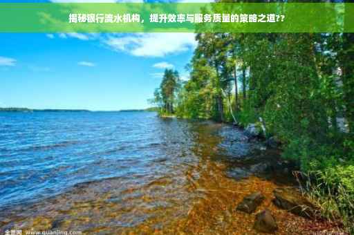 揭秘银行流水机构，提升效率与服务质量的策略之道??