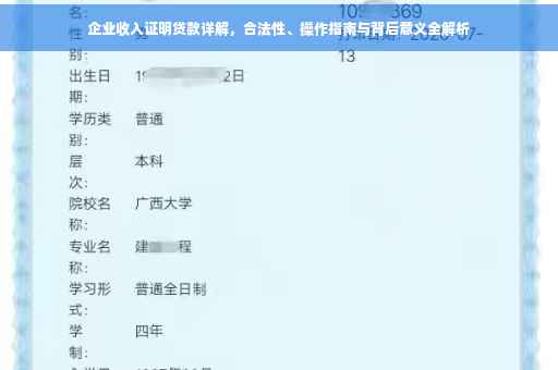 企业收入证明贷款详解，合法性、操作指南与背后意义全解析