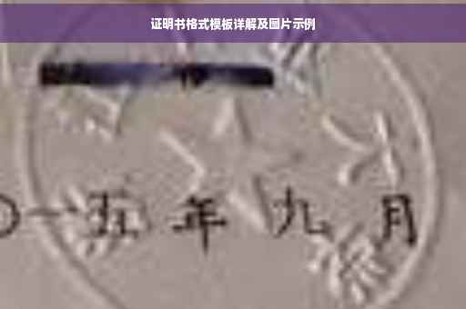 证明书格式模板详解及图片示例